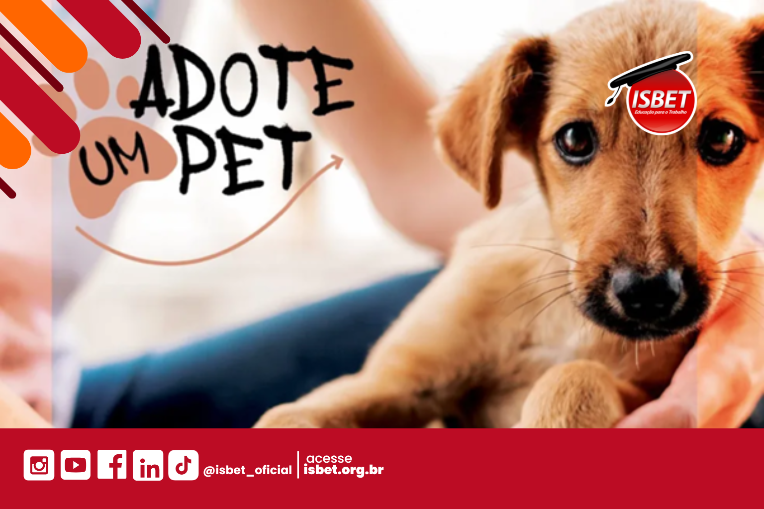 imagem gerada no CANVA sobre adote um pet, com um cachorrinho na capa