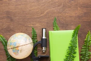 Elementos da educação e sustentabilidade: globo, microscópio e caderno cercados por folhas verdes.